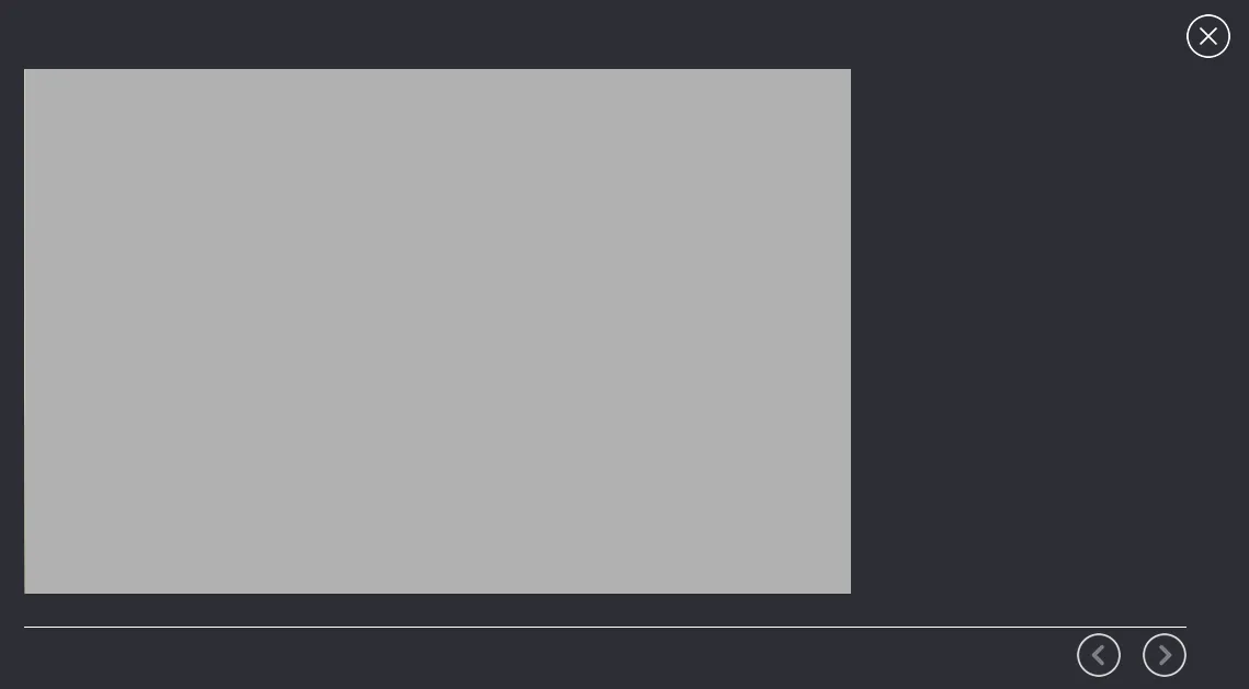 Screenshot of the image gallery that appears in an article. Large image on the left with an optional caption on the right